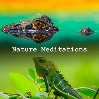 Nature Meditations by Discovery Nature Sound