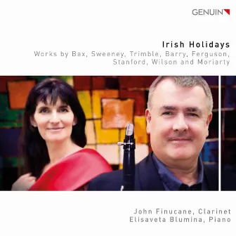 Irish Holidays by John Finucane