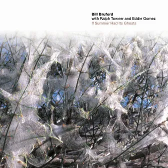 If Summer Had Its Ghosts by Bill Bruford