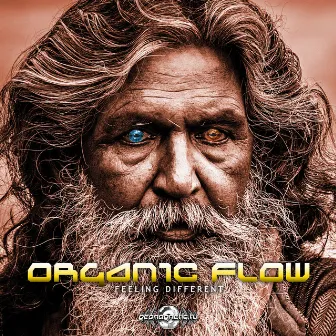 Feeling Different by Organic Flow