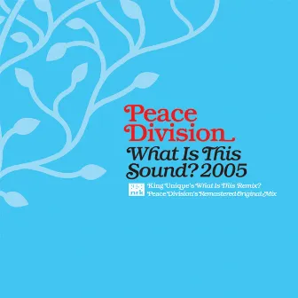 What Is This Sound? 2005 by Peace Division