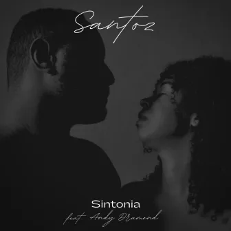 Sintonia by Santoz