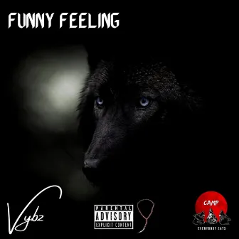 Funny Feeling by 2three Vybz