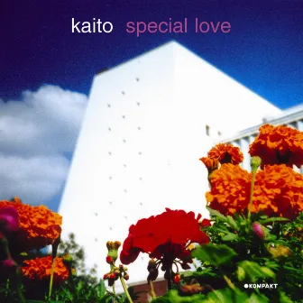 Special Love by Kaito