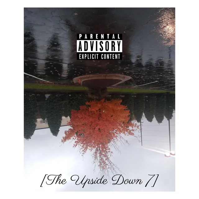 The Upside Down 7