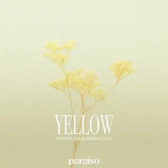 Yellow by Warm & Cold