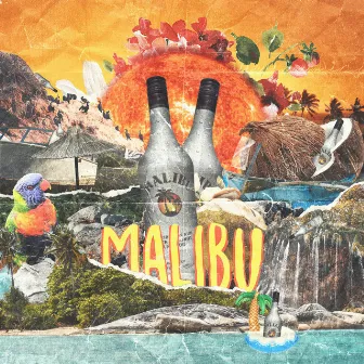 Malibu by Champ