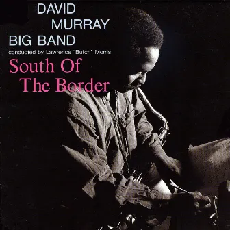 South of the Border by David Murray Big Band