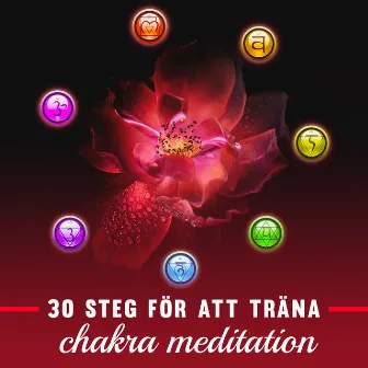 30 steg för att träna chakra meditation by Chakra helande musikakademi