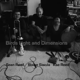 Birds Light and Dimensions by 