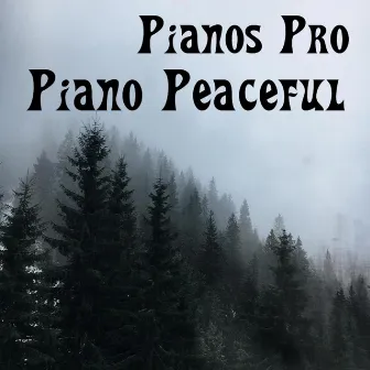 Piano Peaceful by Pianos Pro