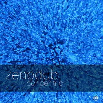 Concentric by zenodub