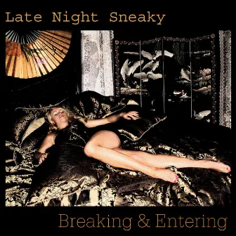 Breaking & Entering by Late Night Sneaky