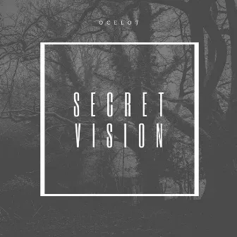 Secret Vision by Ocelot