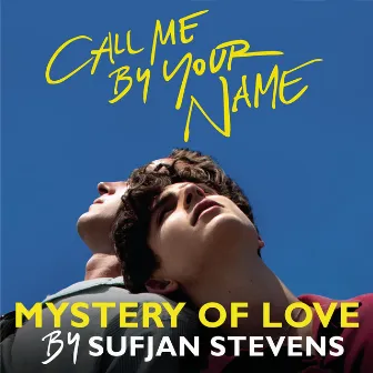 Mystery of Love by Sufjan Stevens