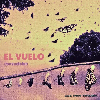 El Vuelo by consuelohm