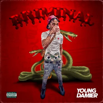 BRIMINAL by Young Damier