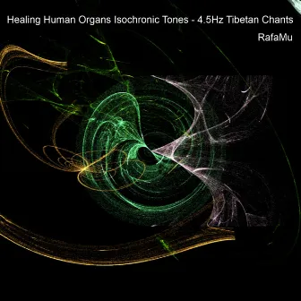 Healing Human Organs Isochronic Tones - 4.5Hz Tibetan Chants by RafaMu