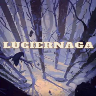 LUCIERNAGA by Kate