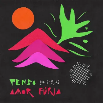 Penso Amor Digo Fúria by Penso Amor Digo Fúria