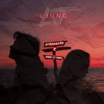 Strangers by Ljung