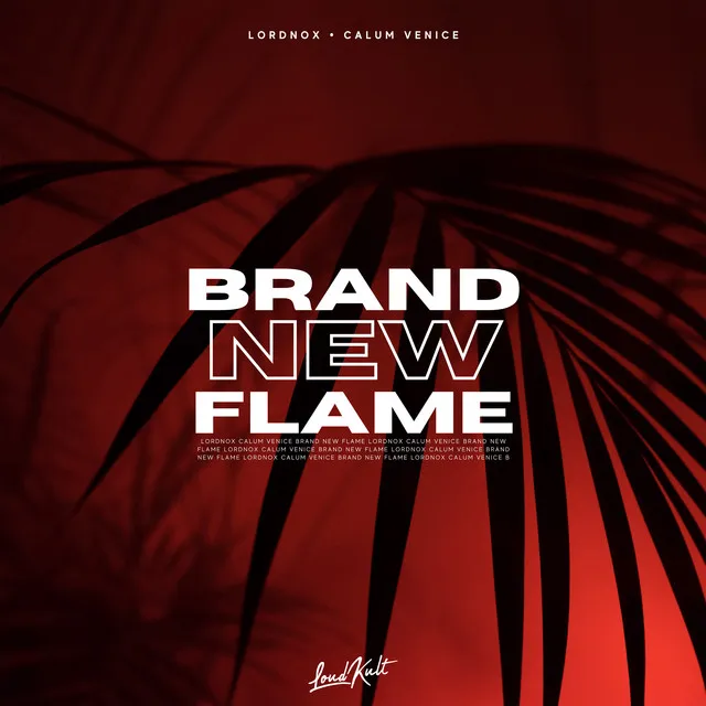 Brand New Flame