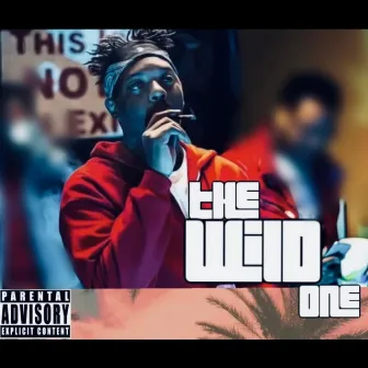 The Wild One by P Wild