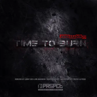 Time To Burn Remix EP by Ambassador21