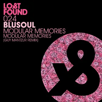 Modular Memories by Blusoul