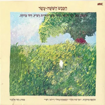 הכבש השישה עשר by Yehonatan Geffen