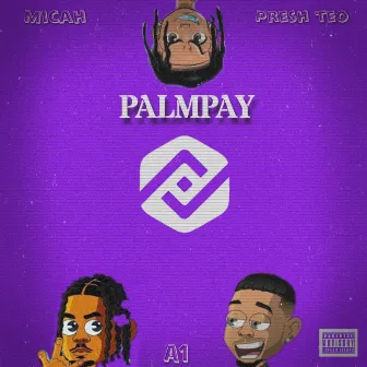 Palmpay by Micah