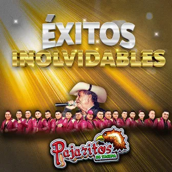 Éxitos Inolvidables by Los Pajaritos De Tacupa