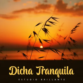 Dicha Tranquila by Estudio Brillante