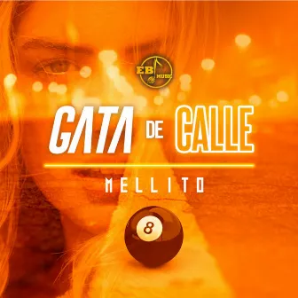 Gata de Calle by Mellito