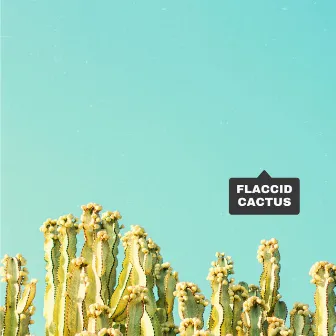 Flaccid Cactus by Sweetmates