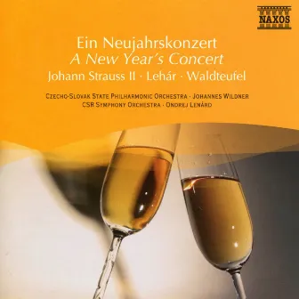 A New Year's Concert by Michael Dittrich