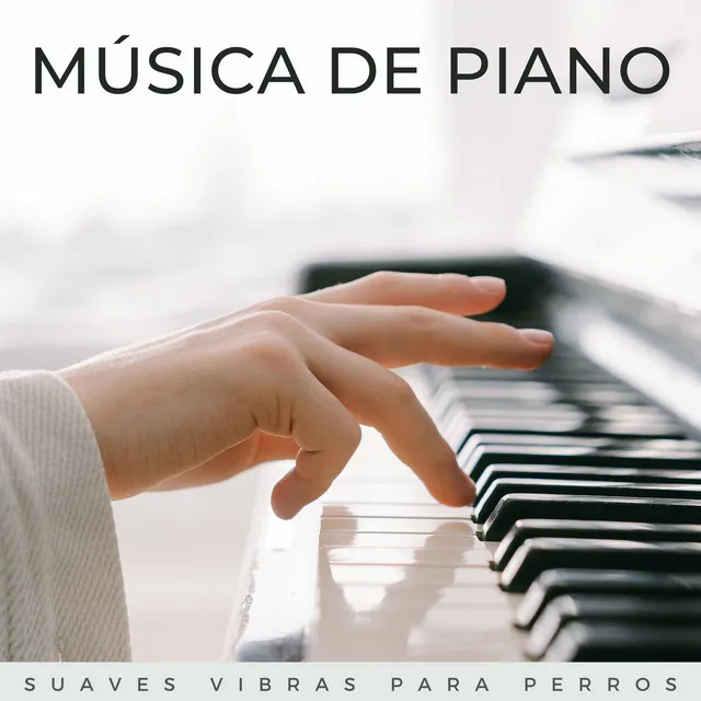 Música De Sueño De Piano Profundo