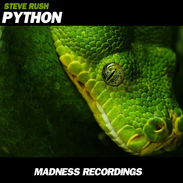 Python - Original Mix