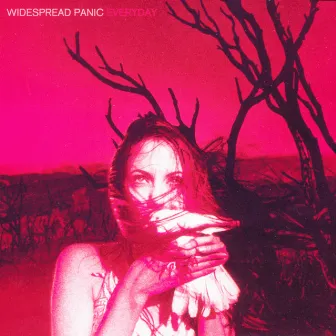 Everyday by Widespread Panic