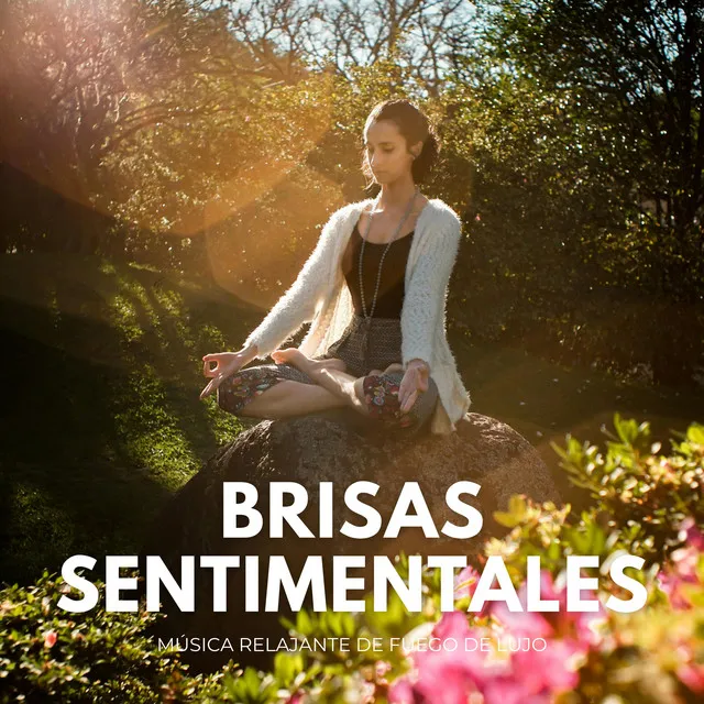 Brisas Sentimentales: Música Relajante De Fuego De Lujo