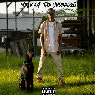 Year Of The Underdog by Nosa BsB