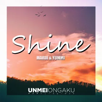 Shine by Mardi