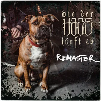 Wie der Hase läuft EP (Remastered) by Haze