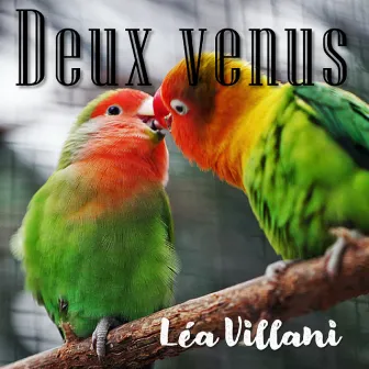 Deux Venus by Léa Villani