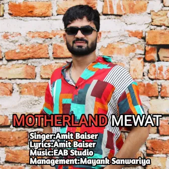 Motherland Mewat by Amit Baiser