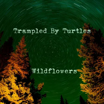 Wildflowers by Trampled by Turtles