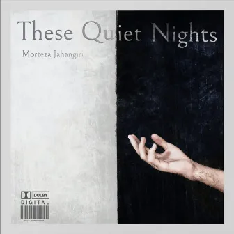 These Quiet Nights by Morteza Jahangiri