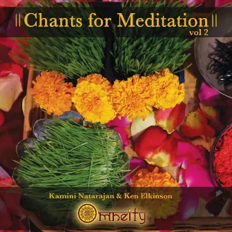 Chants For Meditation, Vol. 2 by Kamini Natarajan