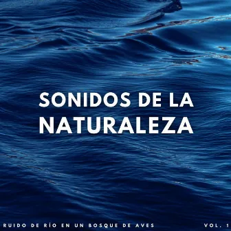 Sonidos De La Naturaleza: Ruido De Río En Un Bosque De Aves Vol. 1 by Sonidos de pájaros suecos