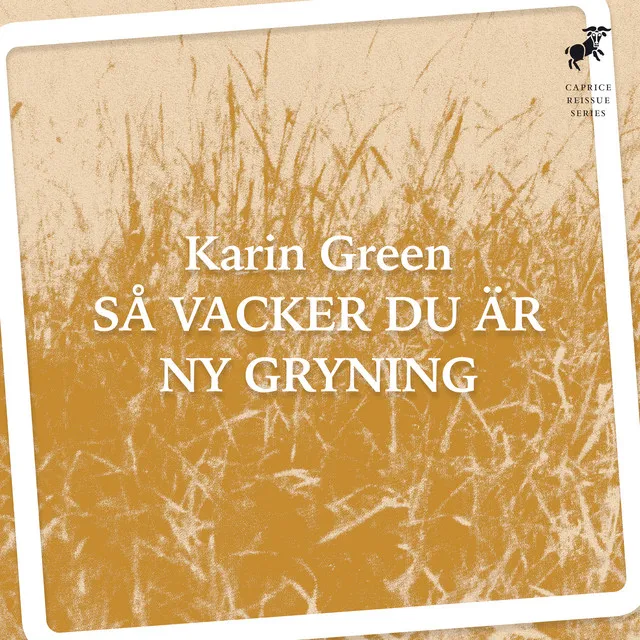 Ny gryning